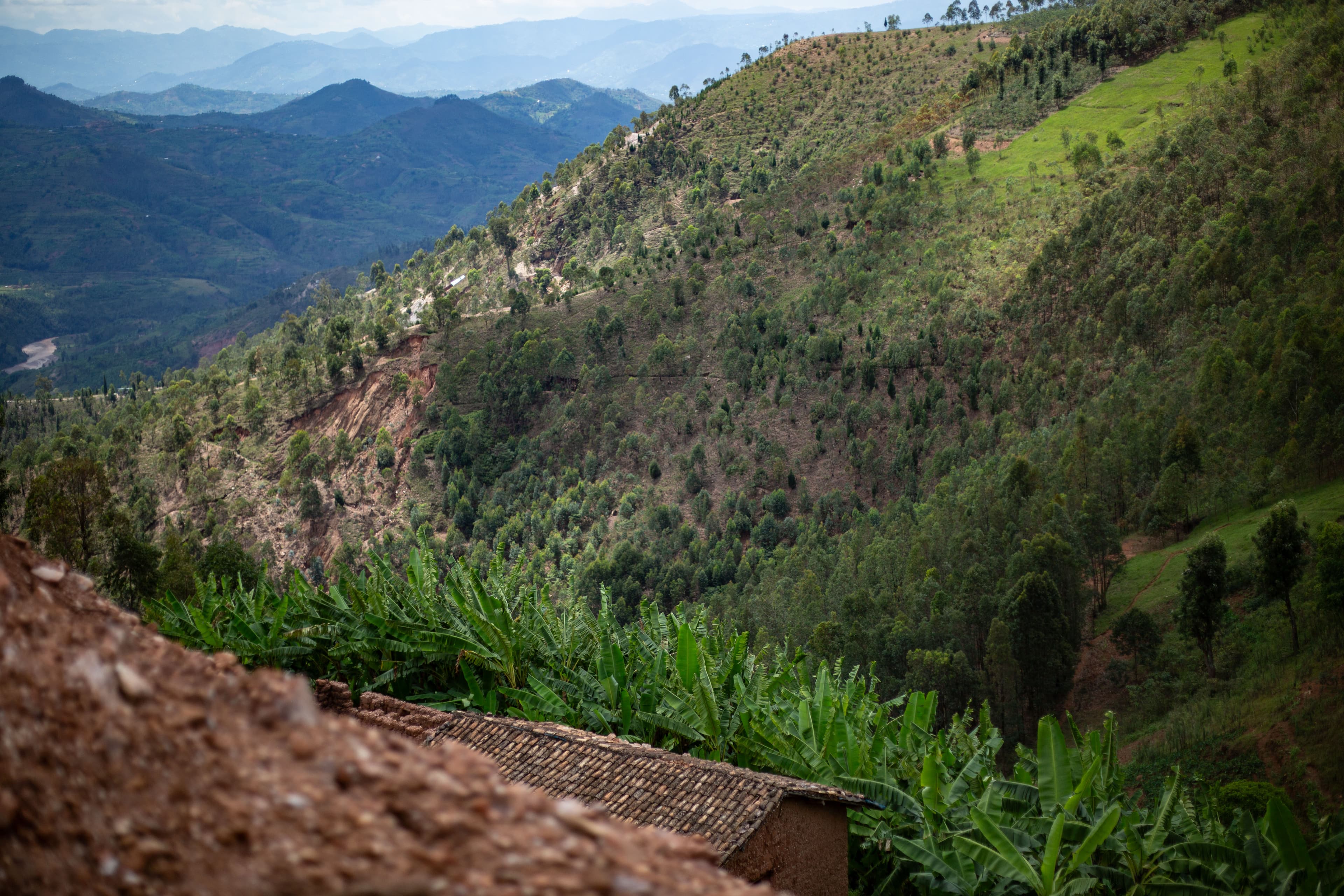 Conduct environmental conservation activities